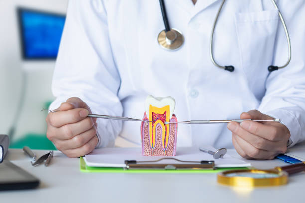 Best Emergency Dental Services for Seniors in Middlesex, NC